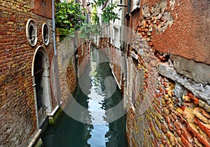 Tiny Venice Canal - Rio with crumbling  walls doors and water photo