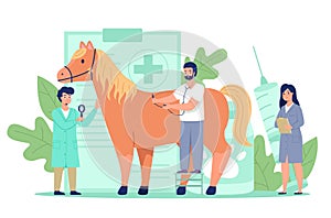 Tiny vet doctors. Miniature veterinarians treat big horse, preventive domestic animal examine and treatment, pet checkup