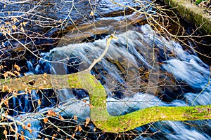 A tiny waterfall on a stream by the roch river