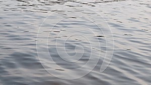 Tiny waves on water surface