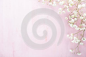 Tiny white flowers ( Gypsophila) on a light pink shabby wooden background. photo