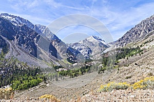 Tioga mountain pass, Sierra Nevada, California