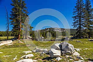 Tioga Pass