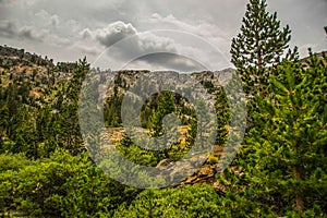 Tioga Pass