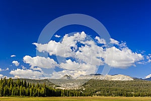 Tioga Pass, Yosemite National Park, Sierra Nevada, USA