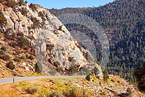 The Tioga Road and Pass