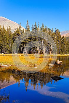 The Tioga Road in Yosemite Park