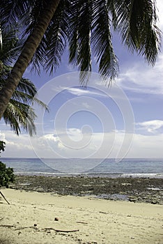 Tioman - Beach photo