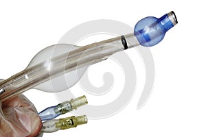 Tip of endobronchial cannula used in anaesthesiology during lung surgeries, with both balloons inflated