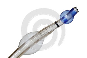 Tip of endobronchial cannula used in anaesthesiology during lung surgeries, with both balloons inflated