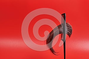 The tip of thick brown hair hangs down from the teeth of a comb on a red background. A clump of hair in a comb comb with split