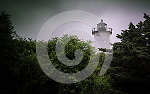 Tip of White Lighthouse over the Trees at Woods Hole Nobska Light