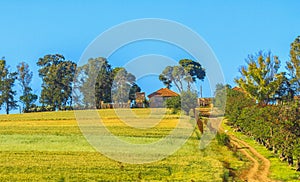 Tipaza county in Algeria