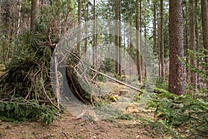 Tipi in a forest made out of branches and leaves