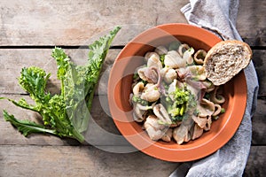 Tipical dish of Apulia region pasta Orecchiette with turnip greens and salted anchovies, close-up, rustic style