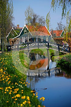 Tipical Dutch village ZAANSE SCHANS, in spring sunny day. Netherlands photo