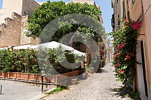 Tipical italian street, alghero, italy photo