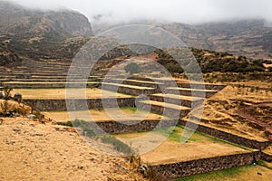 Tipon - Inca ruins of agricultural terraces in Peru