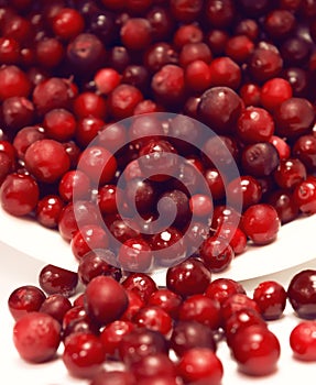 Tipped over bowl full of red lingonberries