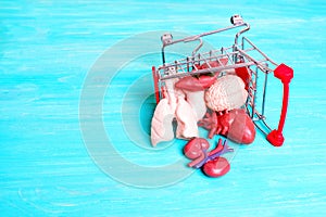 Tipped-Over Toy Push Cart with Small Human Organ Replicas