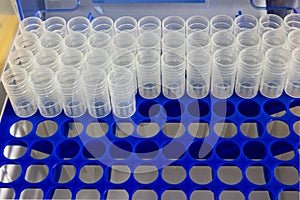 Tips in blue plastic rack for micropipette