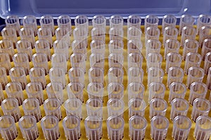 Tips in yellow plastic rack for micropipette