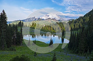 Tipsoo Lake in the Morning