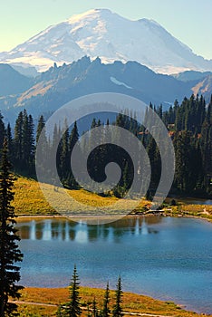 Tipsoo Lake at Mt. Rainier