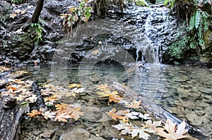 Tiptoe Falls