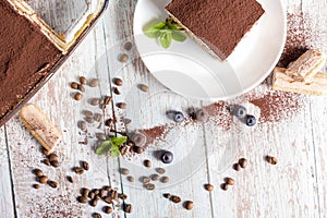 Tiramisu dessert. A plate with delicious tiramisu on a light background