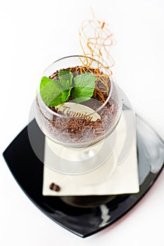 Tiramisu in glass