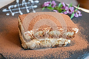 Tiramisu. Traditional italian dessert on white plate, wooden background. Selective focus