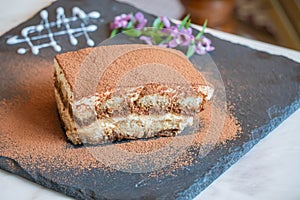 Tiramisu. Traditional italian dessert on white plate, wooden background. Selective focus