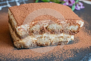 Tiramisu. Traditional italian dessert on white plate, wooden background. Selective focus