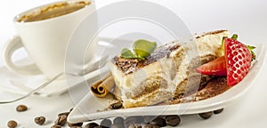 Tiramisu on white background