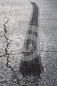 Tire Burnout on Asphalt