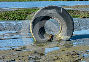 Tire in mud