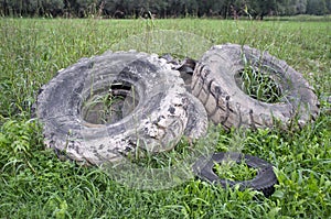 Tire in the park
