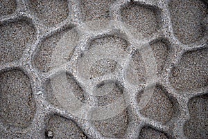 Tire pattern on the sand