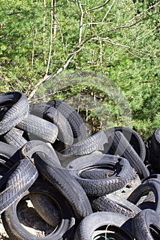 tire pollution in woods trashing nature into a landfill photo
