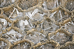 Tire print of car in frozen mud. Ice crystals in recesses. Top view. Close-up.