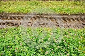 Tire print on grass