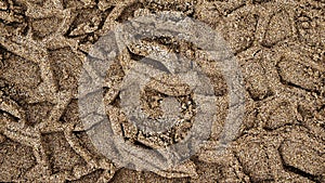 Tire prints on beach sand left by off-road vehicle