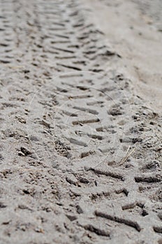 Tire prints of a quad bike on wet sand. Off-road trip