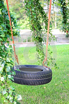 Tire swing