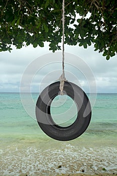 Tire swing