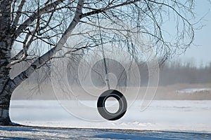 Tire swing