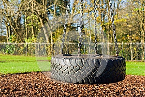 Tire swing