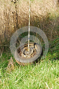 A tire swing hanging from a tree