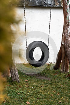 Tire swing hanging from a tree in a summer garden. Concept photo of happy childhood, memory, native home outside grass background